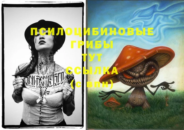 СК Алексин