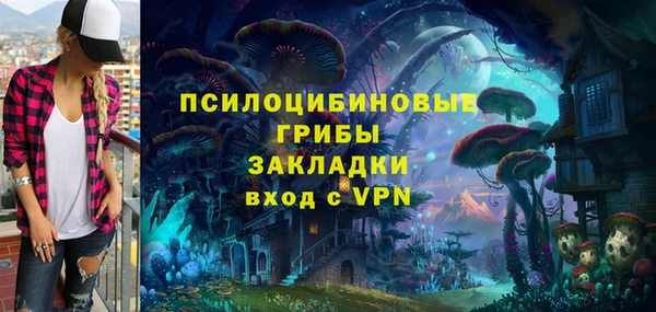эйфоретик Алзамай