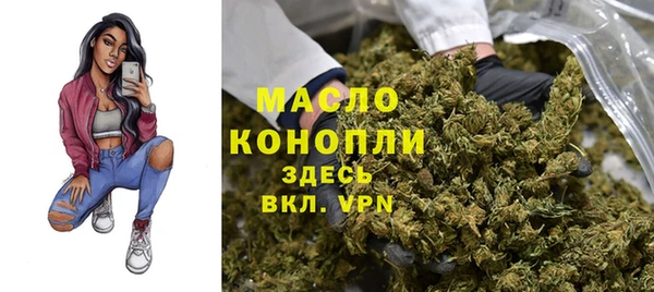 СК Алексин