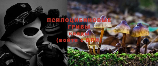 соль курить ск Алексеевка